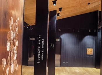 485953842 1084221933747073 8615800183685022731 n