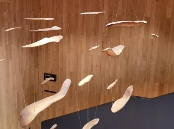 486372076 1084221950413738 1720696922169384852 n