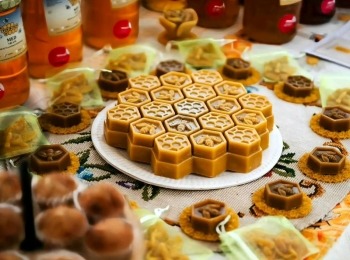 486450450 1084221777080422 1957975063542772892 n