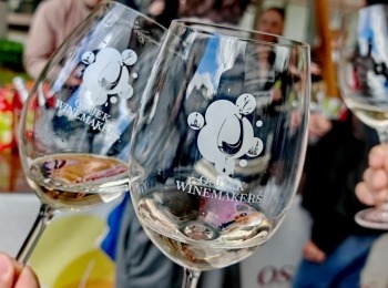 499306687 1214472307138251 6437558333549645978 n