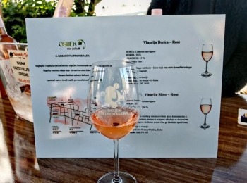 499529183 1214472360471579 5074781318664471139 n