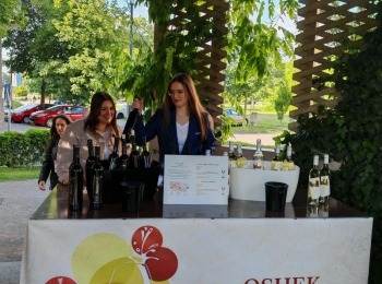 499613422 1214471690471646 5260938860779898856 n