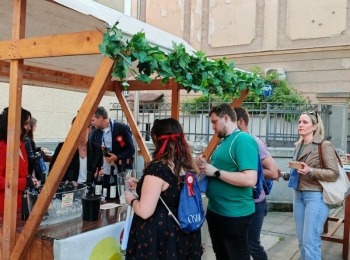 499695243 1214472223804926 6981407673866502595 n