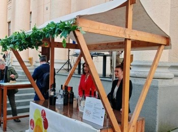 499853195 1214470897138392 8305796281030386044 n