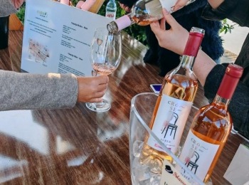 499939222 1214472083804940 5018810662973129635 n