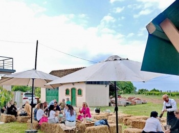 499423295 1129522272550372 3189846457589242999 n