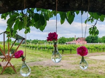 499488875 1129521785883754 9008942670557838616 n