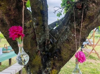 499595070 1129522702550329 1149652017866643513 n