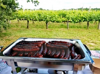 499599728 1129522355883697 9039116896202562731 n