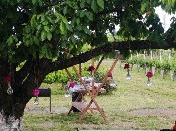 499763797 1129522225883710 5045655434255055600 n