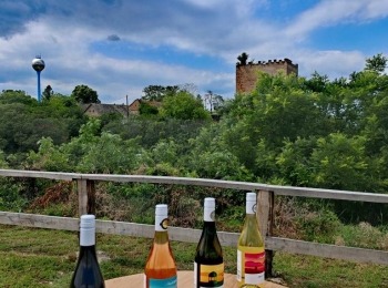 499797735 1129522745883658 8591295046769384566 n