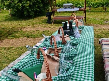 499863601 1129522655883667 5779613121675718894 n