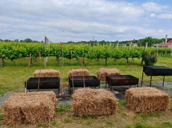 499867437 1129522312550368 2215516089141249804 n