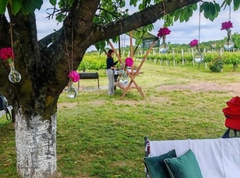 499871204 1129522465883686 9157631710779814778 n