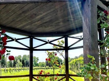 499890807 1129526532549946 2420489214243111801 n