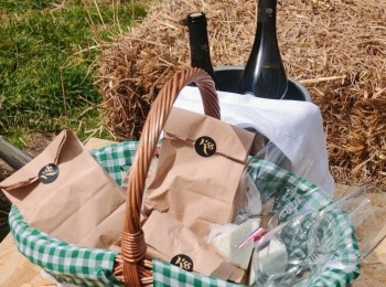 499917936 1129522585883674 3856150721164964608 n