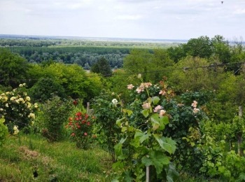 499920491 1129522115883721 8296622011542979926 n