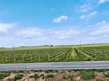 499924029 1129522865883646 8404913190403234670 n