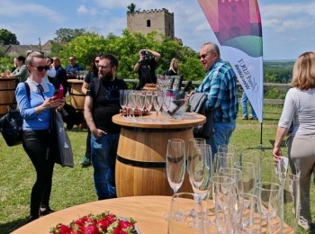 500250623 1129526385883294 1999237012728776824 n