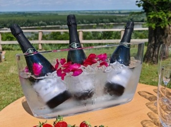 500271969 1129525185883414 1704134873759232852 n