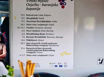 500271990 1129524699216796 3712874271193348476 n