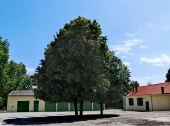 500276263 1129526649216601 7790222593049027798 n