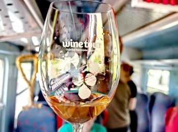 500281006 1129524735883459 1956864505917467992 n