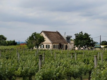 500286518 1129525402550059 8445159427791230817 n