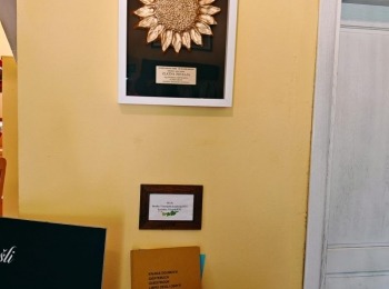 500306333 1129525732550026 2949600295255367810 n