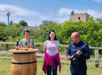 500312154 1129526312549968 1731177718868809112 n