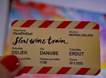 500312498 1129523885883544 7623419477392207824 n