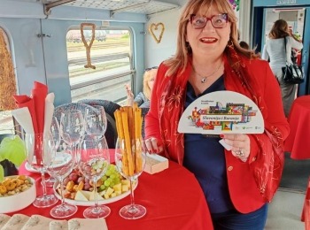 500322904 1129524565883476 2626950349681121329 n