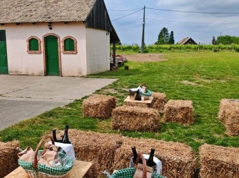 500324787 1129525422550057 4115178445372150256 n