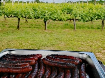 500325400 1129525582550041 6849886754182165990 n