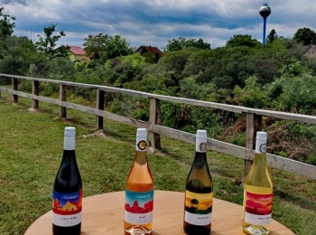 500331069 1129525325883400 3248977329865359948 n