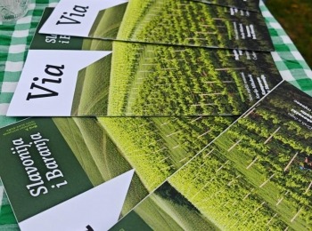 500355705 1129525602550039 3053915112839962443 n