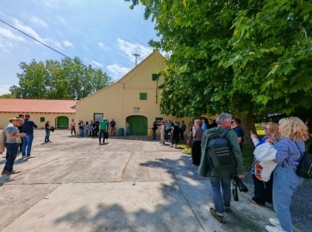 500376452 1129524995883433 1441084585783224605 n