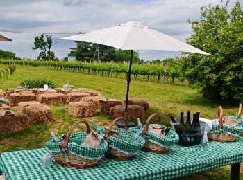 500397354 1129526709216595 1231889577827589529 n