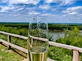 500460006 1129525242550075 9089109367551647274 n