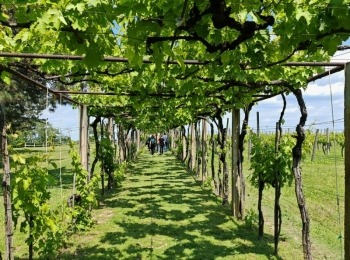 500596696 1129526365883296 7441187713775717207 n