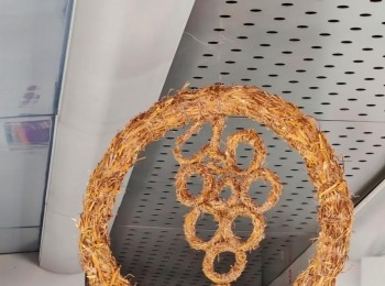 500610801 1129524775883455 8990022480097323047 n