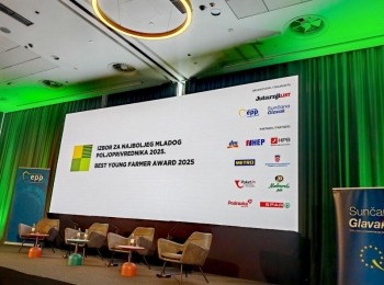 500258438 1130737779095488 2729199375509914589 n