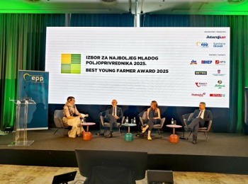 500393772 1130737682428831 5201771963664665541 n