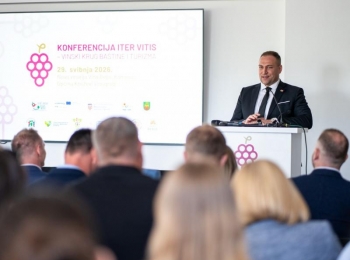 Iter vitis 13