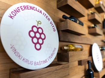Iter vitis 2