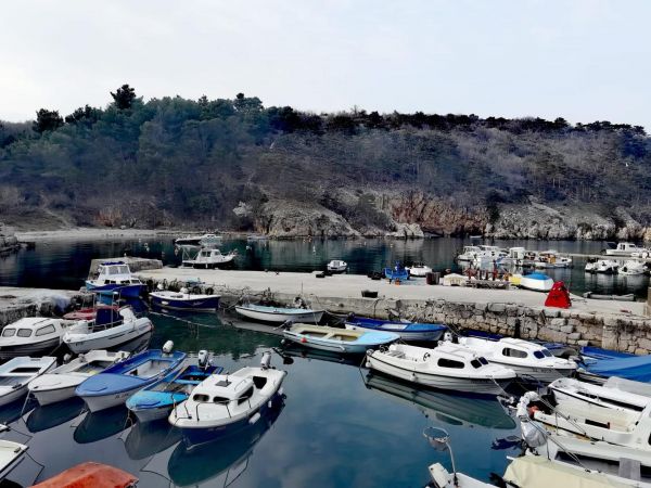 Sunflower Award 2020. - Obilazak kandidata s područja Primorsko-goranske županije