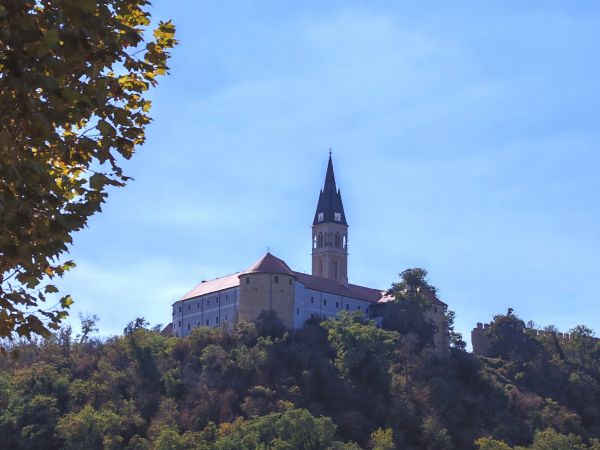 Iloku prestižna međunarodna nagrada Iter Vitis za očuvanje vinske i kulturne baštine