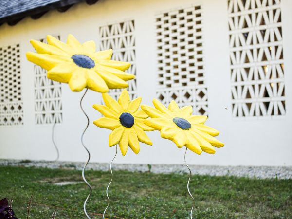 Hotel Dunav i Sinjska alka šampioni osmog Suncokreta ruralnog turizma