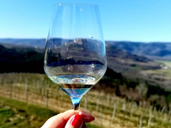 SUNFLOWER AWARD 2020. - OBILAZAK KANDIDATA S PODRUČJA ISTARSKE ŽUPANIJE