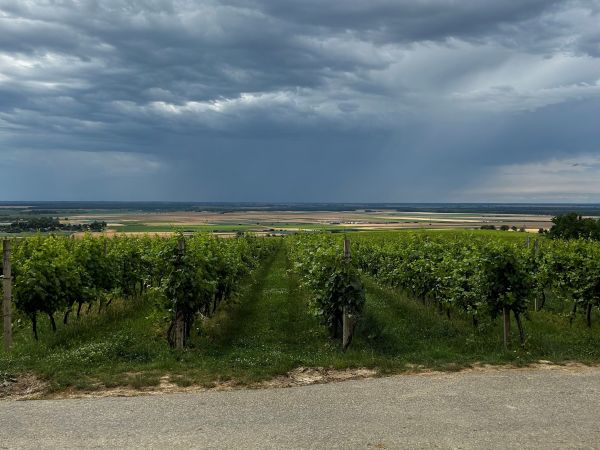 Vinatlon_Konferencija_Edukacijski izlet